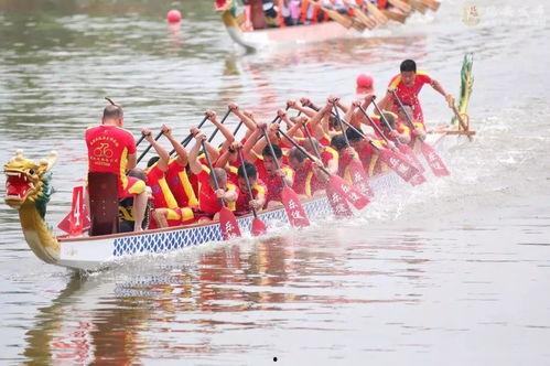 划龙舟比赛视频,视频回顾精彩瞬间