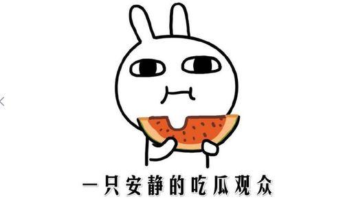 吃瓜新闻是新闻吗,揭秘网络时代的“瓜田”现象  第2张