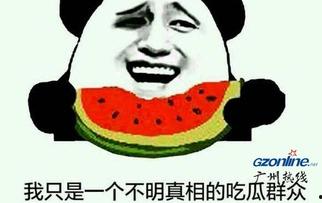 吃瓜群众看娱乐,吃瓜群众视角下的明星八卦  第3张