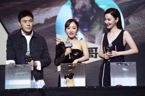 娱乐圈吃瓜爆料博主推荐,揭秘明星背后的惊人真相！  第3张