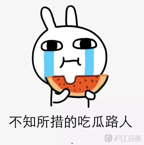 娱乐吃瓜叭  第2张